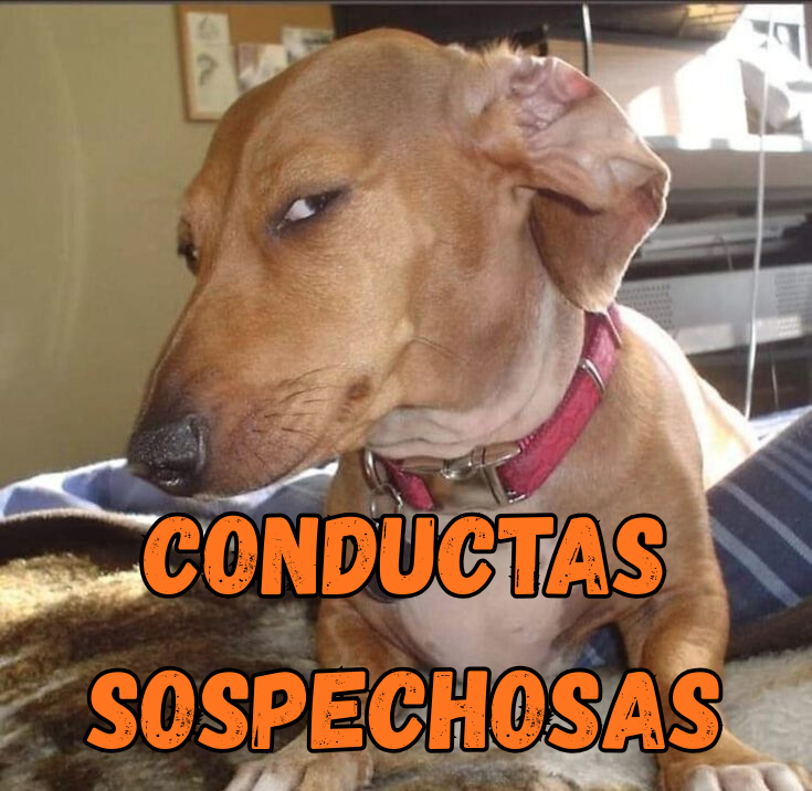 conductas sospechosas